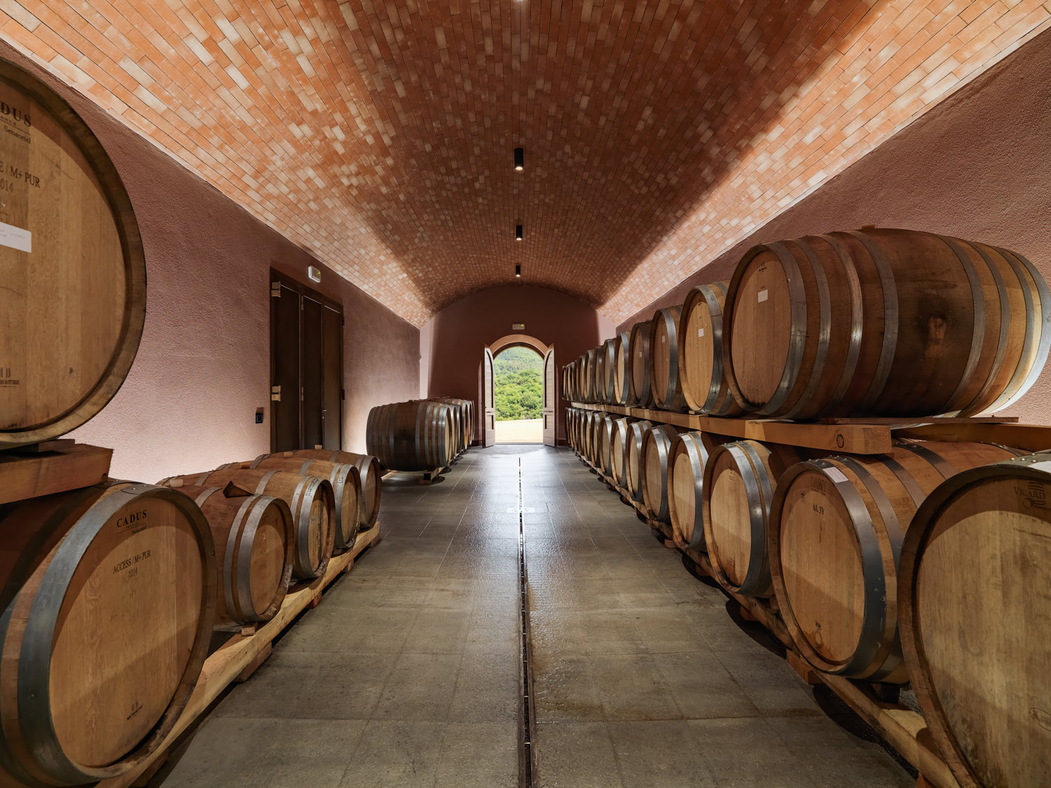 Interno di una cantina vinicola a Gaiole in Chianti, Siena - Toscana